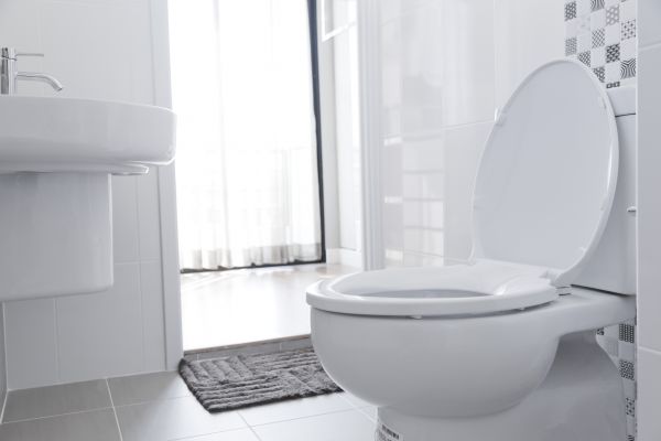 Cost of Toilet Relocation in Sugar Land