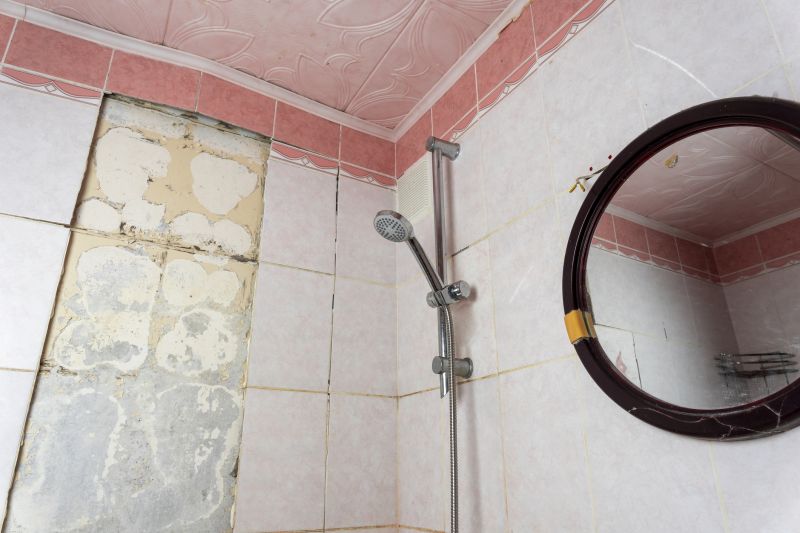 Top Shower Remodeling Companies in Pearland, TX